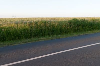HDR 025 Road in Field 1 Plates - Gallery 8