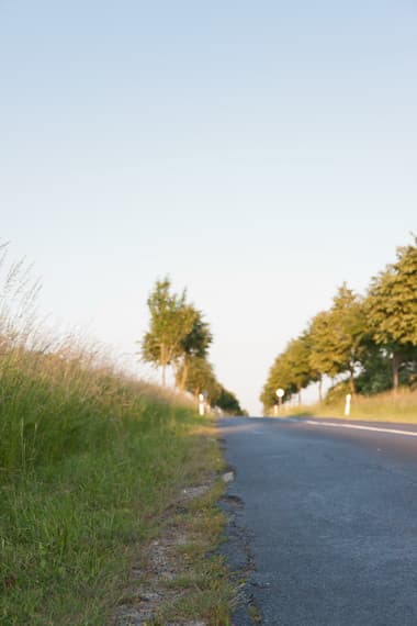 HDR 025 Road in Field 1 Plates - Gallery 10