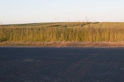 HDR 026 Road in Field 2 Plates - Gallery 3