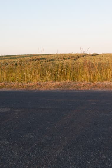 HDR 026 Road in Field 2 Plates - Gallery 4
