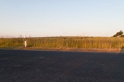 HDR 026 Road in Field 2 Plates - Gallery 5
