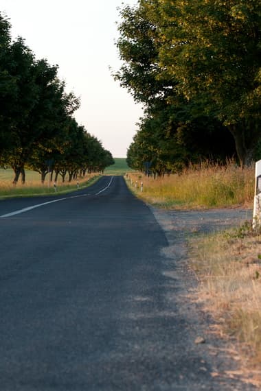 HDR 026 Road in Field 2 Plates - Gallery 13