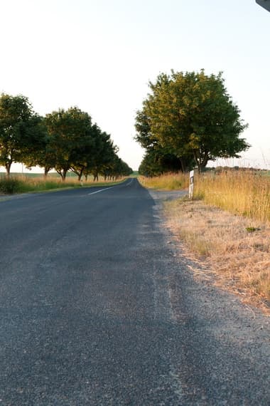 HDR 026 Road in Field 2 Plates - Gallery 14