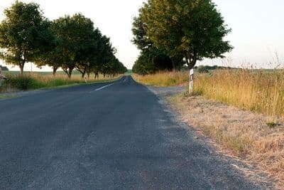 HDR 026 Road in Field 2 Plates - Gallery 15