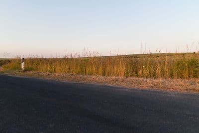 HDR 026 Road in Field 2 Plates - Gallery 16
