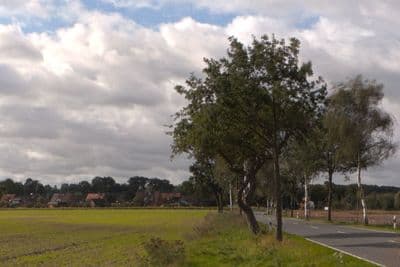HDR 030 Road in Field 3 - Gallery 3