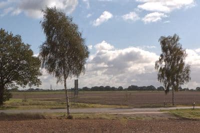HDR 031 Road in Field 4 - Gallery 3