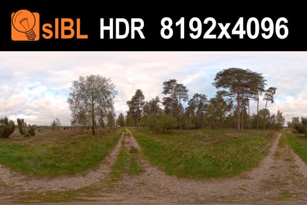 HDR 033 Field Path 1 - Gallery 1