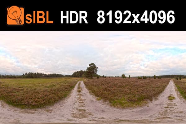 HDR 034 Field Path 2 - Gallery 1
