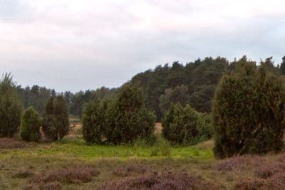 HDR 035 Field Path 3 - Gallery 3