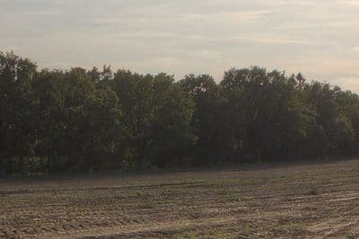 HDR 042 Acre - Gallery 4
