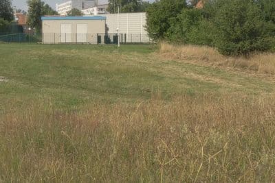 HDR 067 Grass Field - Gallery 4