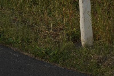 HDR 069 Road Sunrise - Gallery 4