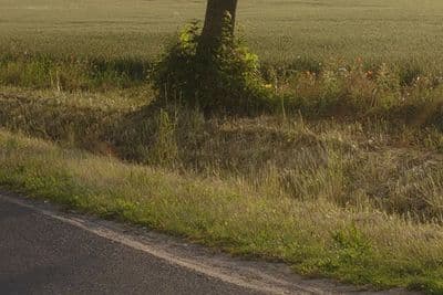 HDR 070 Road Sunrise - Gallery 4