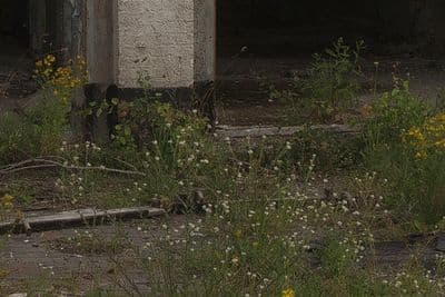 HDR 076 Old Hangar - Gallery 4