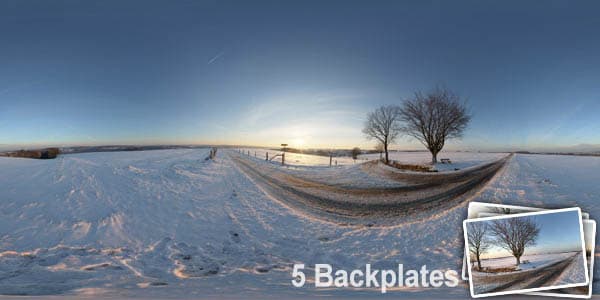 HDR 092 Road Winter Plates - Layout License - Gallery 1