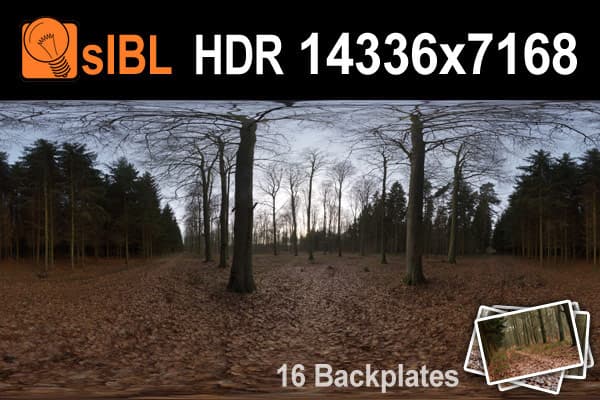 HDR 095 Forest Path Plates - Gallery 1