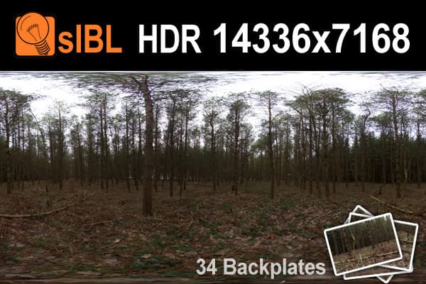 HDR 096 Forest Plates - Gallery 1