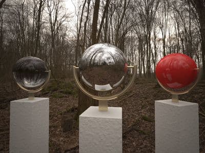 HDR 097 Forest - Gallery 2