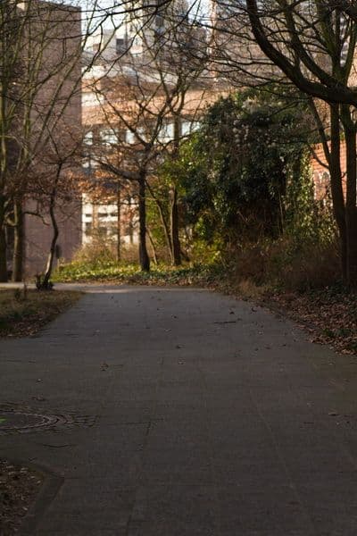 HDR 104 Sidewalk Plates - Gallery 12