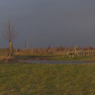HDR 106 Dawn Plates - Gallery 10