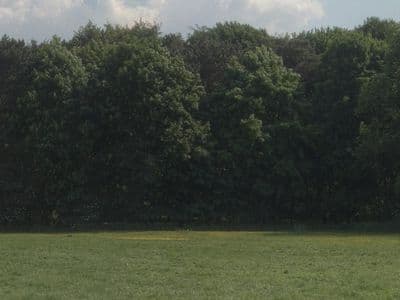 HDR 113 Meadow Plates - Gallery 3