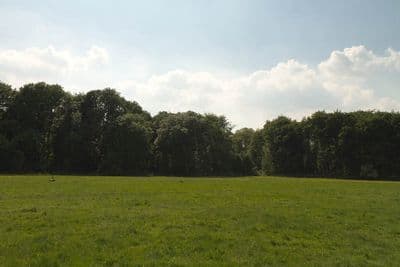 HDR 113 Meadow Plates - Gallery 7