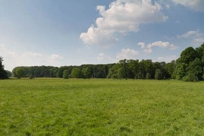 HDR 113 Meadow Plates - Gallery 12