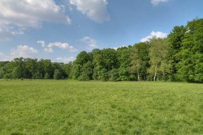 HDR 113 Meadow Plates - Gallery 13