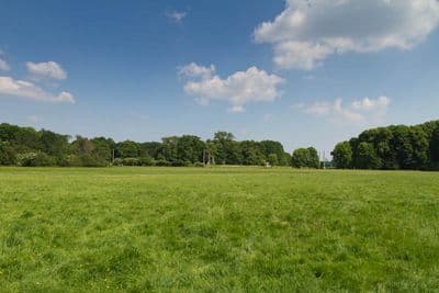 HDR 113 Meadow Plates - Gallery 16