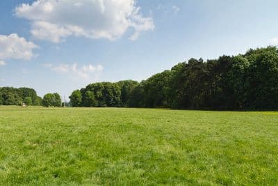 HDR 113 Meadow Plates - Gallery 17