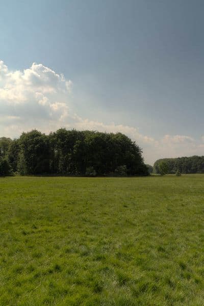HDR 113 Meadow Plates - Gallery 20