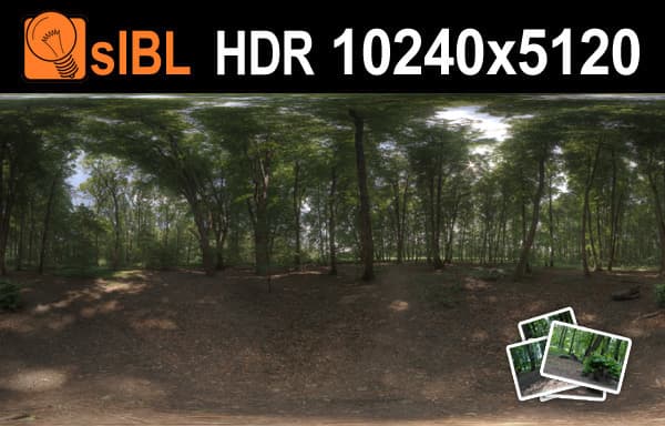 HDR 116 Forest Plates - Gallery 1
