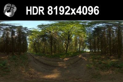 HDR 152 Forest - Gallery 1