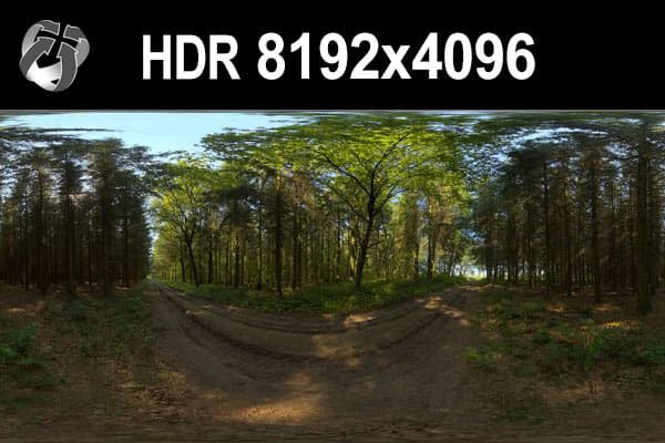 HDR 152 Forest - Gallery 1