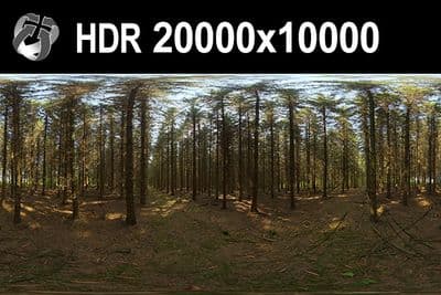 HDR 153 Forest 20k - Gallery 1