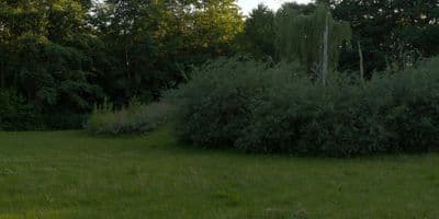 HDR 154 Park Grass Field 20k - Gallery 3