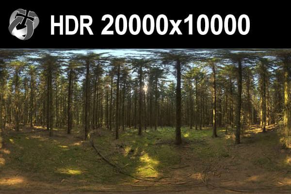 HDR 161 Forest 20k - Gallery 1