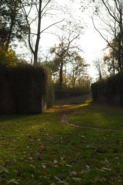HDR Stonewall (free) - Gallery 9