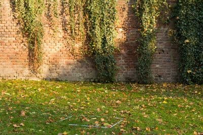 HDR Stonewall (free) - Gallery 12