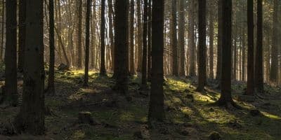 HDRI Dome: loc00146 - Gallery 2