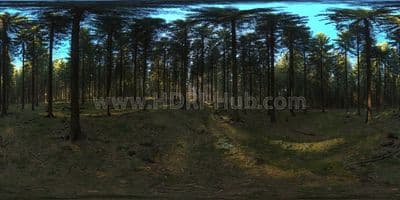 HDRI Dome: loc00146 - Gallery 1