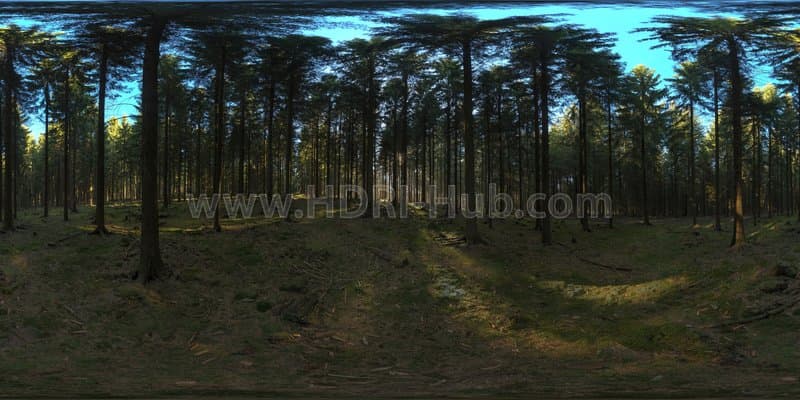 HDRI Dome: loc00146 - Gallery 1