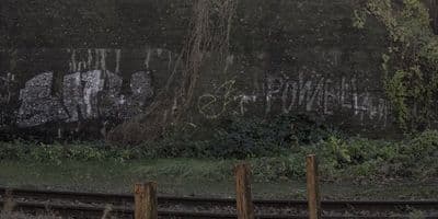 HDRI Dome: loc00169 - Gallery 2