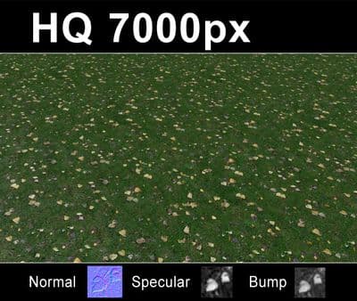 Lawn 02 - Gallery 3