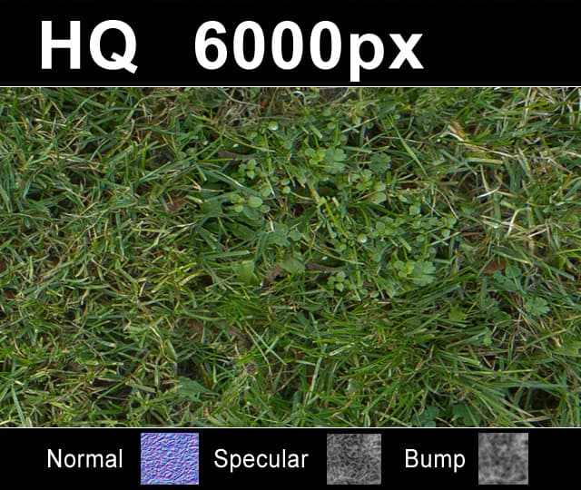 Lawn 05 - Gallery 1