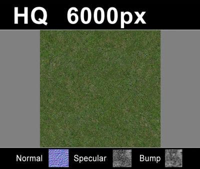 Lawn 05 - Gallery 2