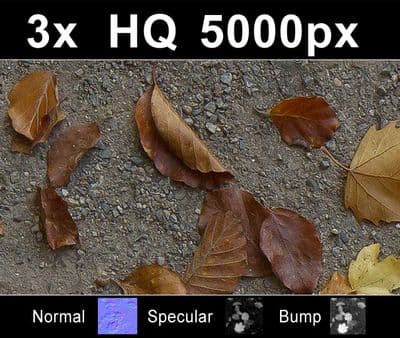 3x Leaves on Sand 1 - Gallery 1