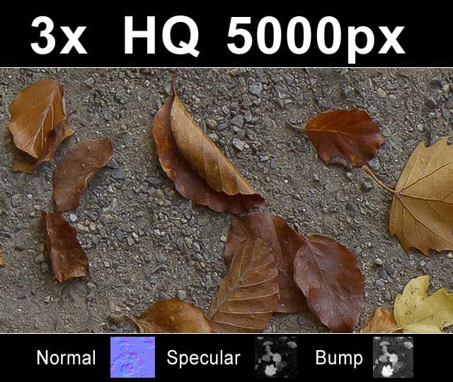3x Leaves on Sand 1 - Gallery 1