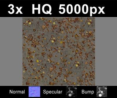 3x Leaves on Sand 1 - Gallery 2